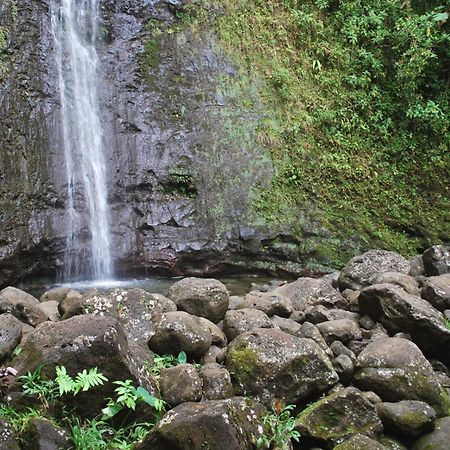 Вілла Delightful Hawaiian Monarch Studio Гонолулу Екстер'єр фото