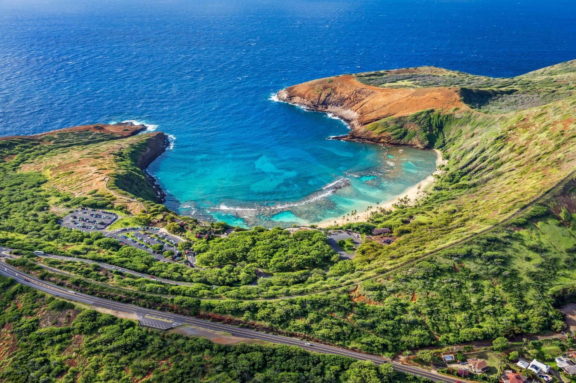 Вілла Delightful Hawaiian Monarch Studio Гонолулу Екстер'єр фото