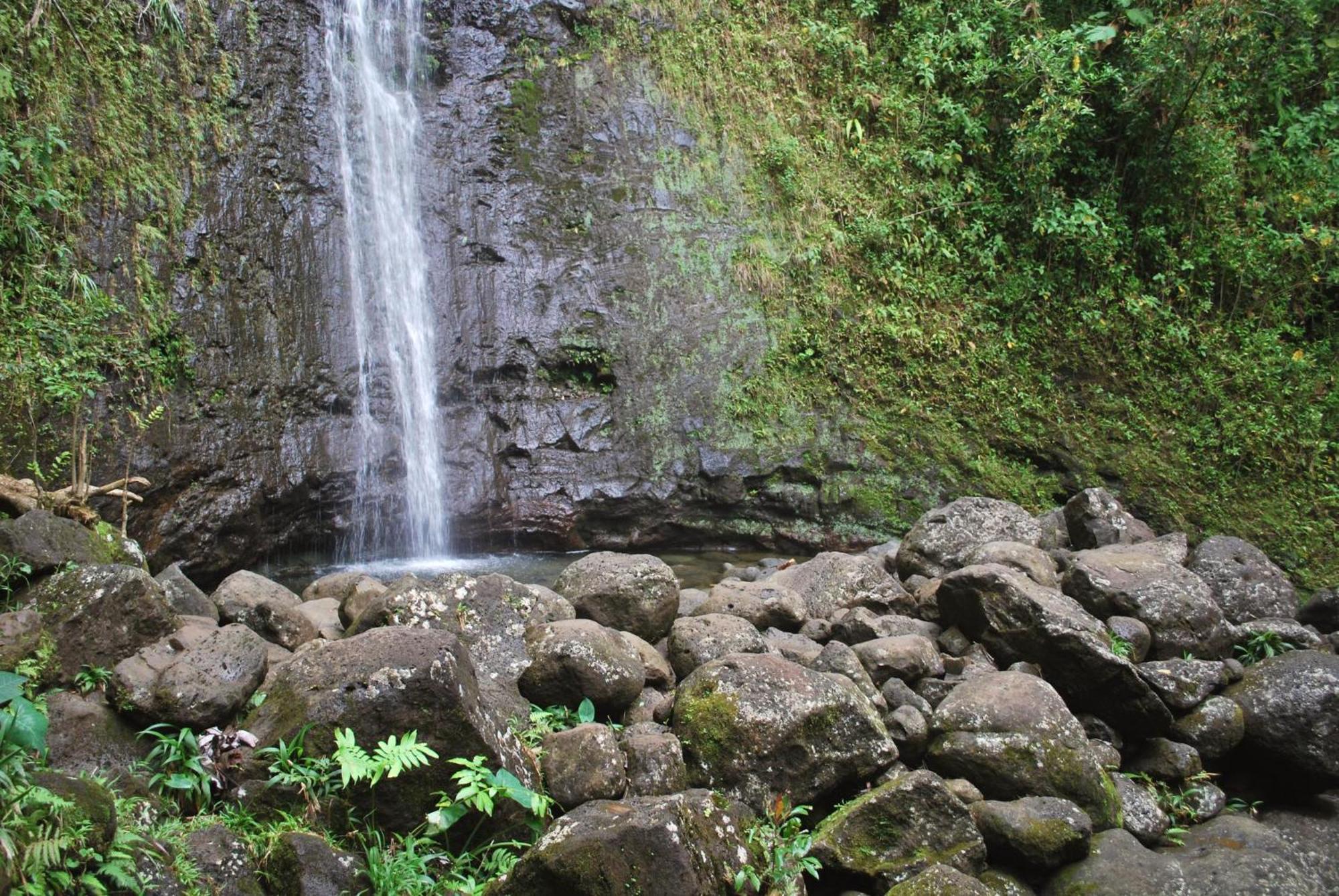 Вілла Delightful Hawaiian Monarch Studio Гонолулу Екстер'єр фото